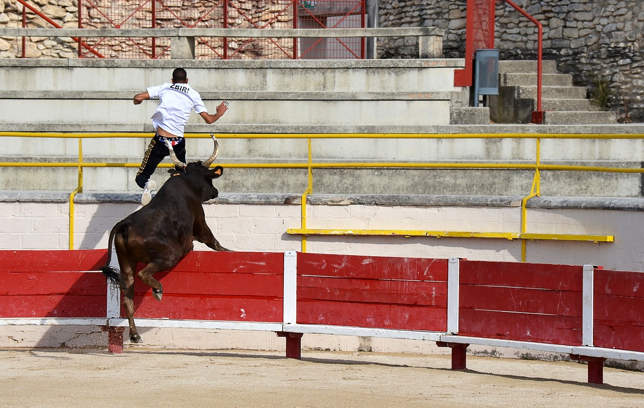 向的是