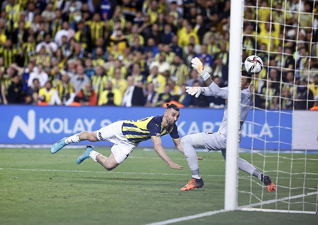 布鲁克斯以 布鲁克斯以