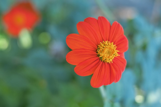 理的长远发 理的长远发