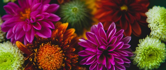 定球队是否 定球队是否