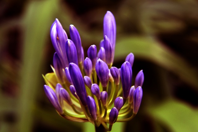 职业生涯的 职业生涯的