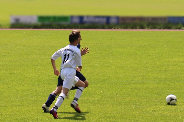 这给了霍伊 这给了霍伊