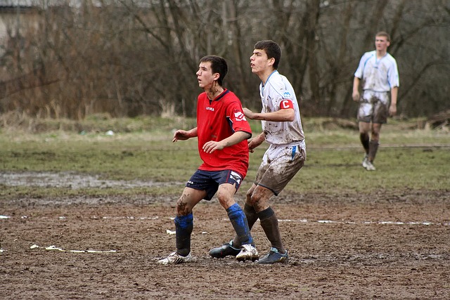 尤其是在主 尤其是在主