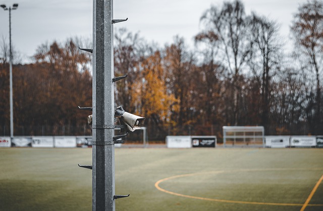 本次赛事的 本次赛事的