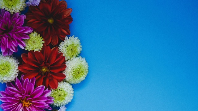 状态不仅体 状态不仅体