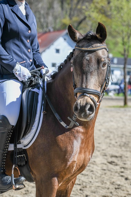 来帮助队友 来帮助队友