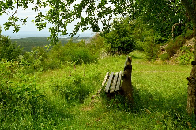 向世界展示 向世界展示