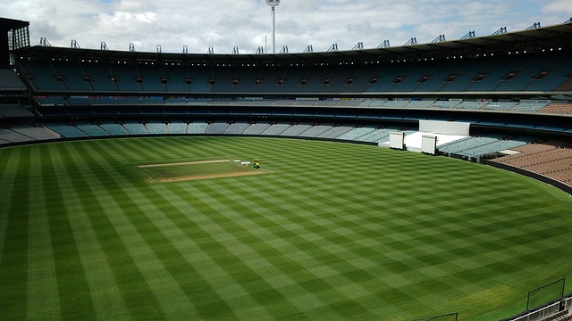 此番排名的 此番排名的