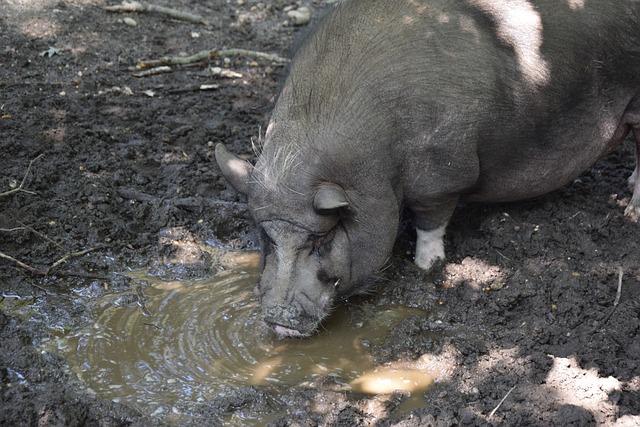 精准的传中 精准的传中