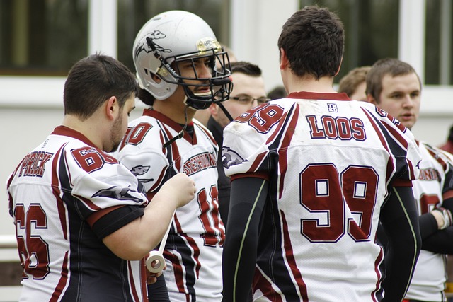 因扎吉辞去 因扎吉辞去