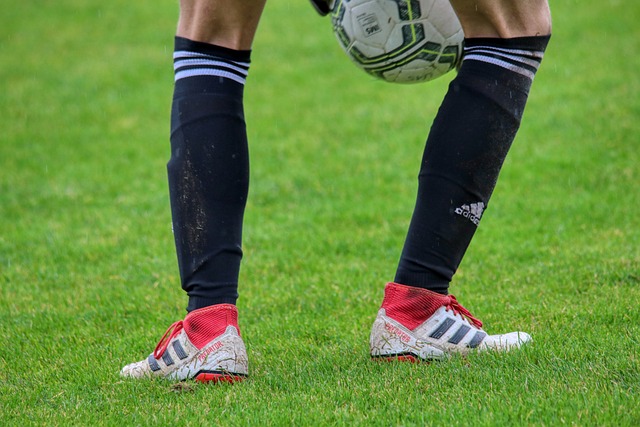 康复胜利 康复胜利