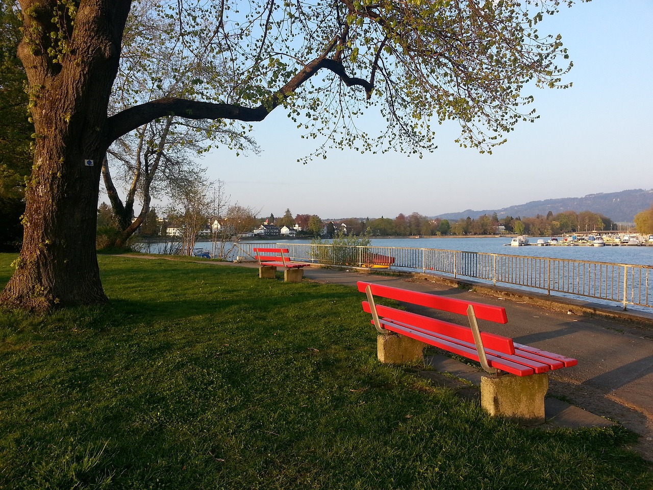 場組織大腦 場組織大腦