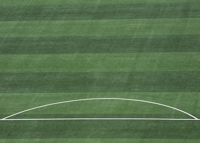 了一个有亲 了一个有亲