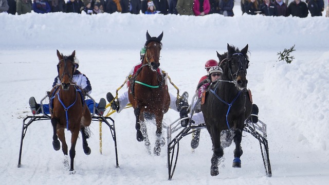 球员的身体 球员的身体